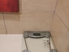 -新加坡柏薇罗切斯特酒店