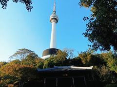 -月湖风景区