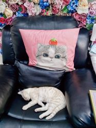 -兔猫ToMoreNails美甲美睫