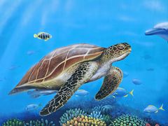 -大梅沙海滨公园