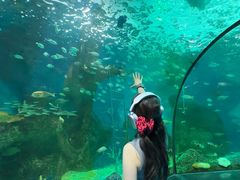 -大明湖海底世界