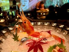 -地球美食剧场
