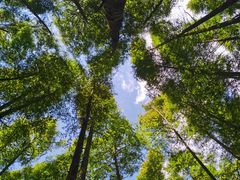 -山王坪喀斯特国家生态公园