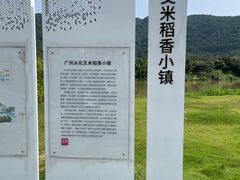 -艾米稻香小镇
