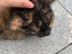 -广州天河城购物中心