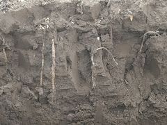 -解家河南菜(商鼎路店)