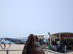 -亚龙湾海底世界