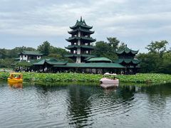 -桂湖森林公园