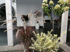 -杭州植物园