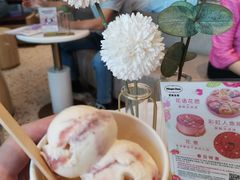 茉莉花覆盒子石榴-哈根达斯(天河城店)