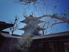 -广富林郊野公园