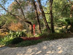 -东湖落雁景区