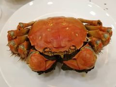 -王宝和酒家(黄浦店)