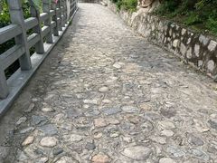 -大岭沟猕猴桃谷风景区