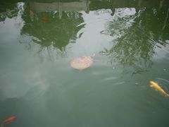 -报恩禅寺