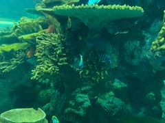 -青岛嘉年华主题乐园