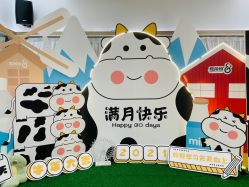 -爱帝宫月子中心(罗湖别墅院)