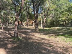 -长白岛森林公园