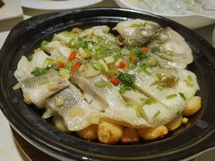 -点都德·毕德寮