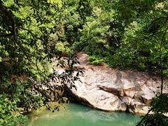 -广州白江湖森林公园