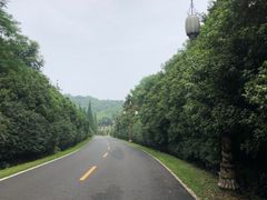 -宜兴龙背山森林公园