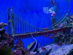 -太平洋海底世界