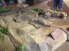 -自贡恐龙博物馆