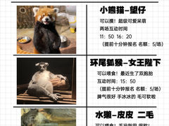 -绿色星球动物主题公园