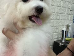 -恒幸动物医院·急重症转诊中心·神经内外科·CT核磁