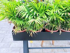 -星巴克(成都科学城店)