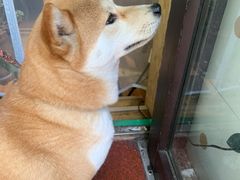 -Rabbit Cafe私房西餐甜点咖啡(栖霞路店)