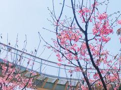 -狐尾山公园