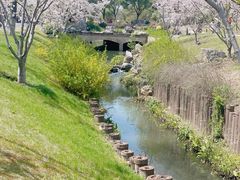 -羊山湖公园