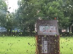 -半岛公馆(淞兴西路店)