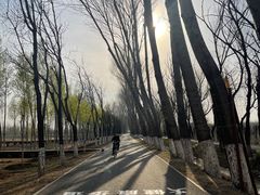 -东郊湿地公园