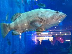 -成都浩海立方海洋公园