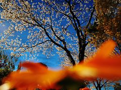 -市民服务中心大楼