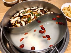 -青瓷火锅料理(西单大悦城店)