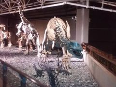 -世界恐龙谷景区