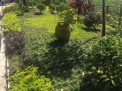 -顺德了能馆(虎门店)