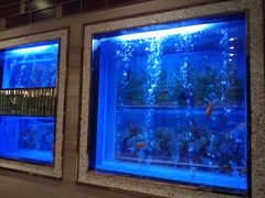 水产区-恒宝和宴(合生广场店)