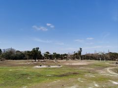 -宁波野生动物园