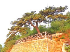 -鬼笑石后山停车场