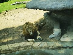 -北京野生动物园