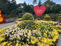 -南山植物园