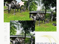 -广州神农草堂中医药博物馆