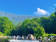 -广州市石门国家森林公园