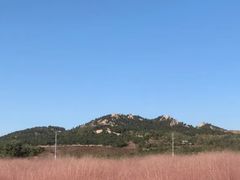 -西海岸生态观光园