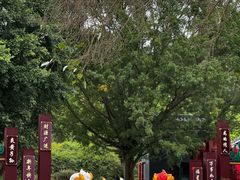 -悦城龙母祖庙