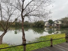 -新荣记(西溪湿地店)